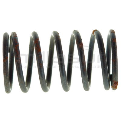 MUELLE VALVULA MA135 - CC246 - CC246T (96) - motoscamaralweb.com