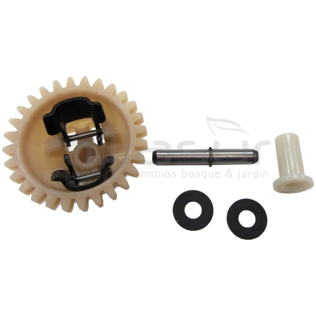 REGULADOR - motoscamaralweb.com