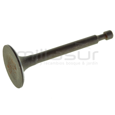VALVULA ADMISIÓN MA196 (BIO65) - motoscamaralweb.com