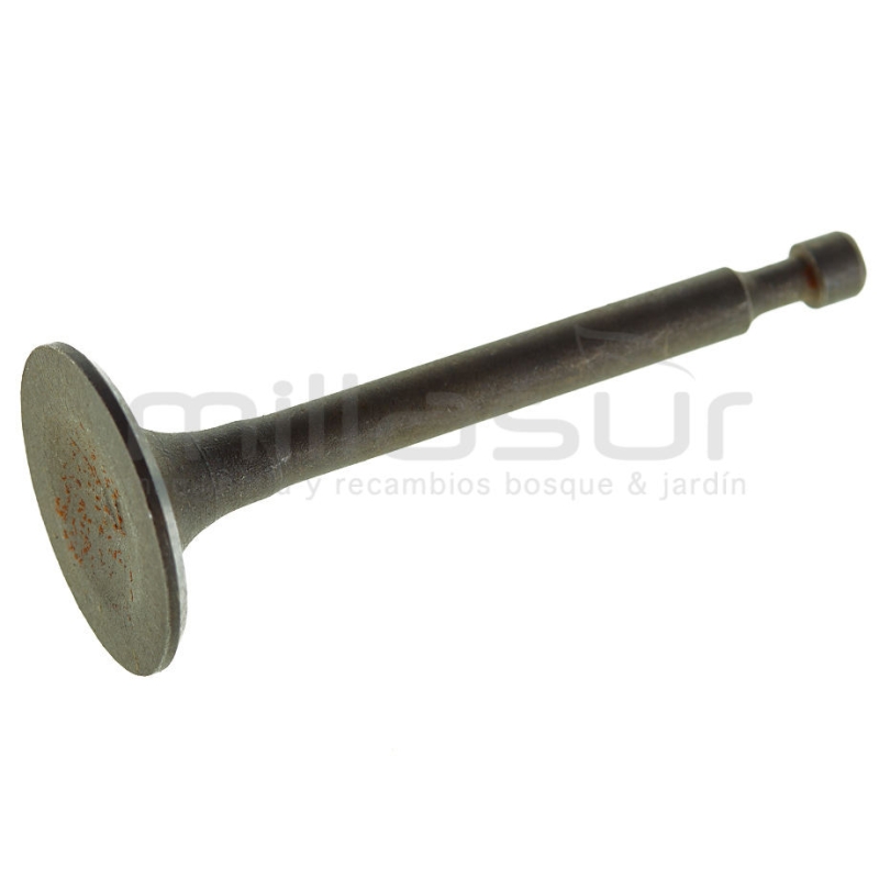 VALVULA ADMISIÓN MA196 (BIO65) - motoscamaralweb.com
