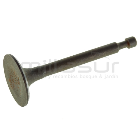 VALVULA ADMISIÓN MA196 (BIO65) - motoscamaralweb.com