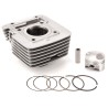 Cilindro de aluminio AIRSAL 150cc Yamaha YBR 125 (021270574) - motoscamaralweb.com