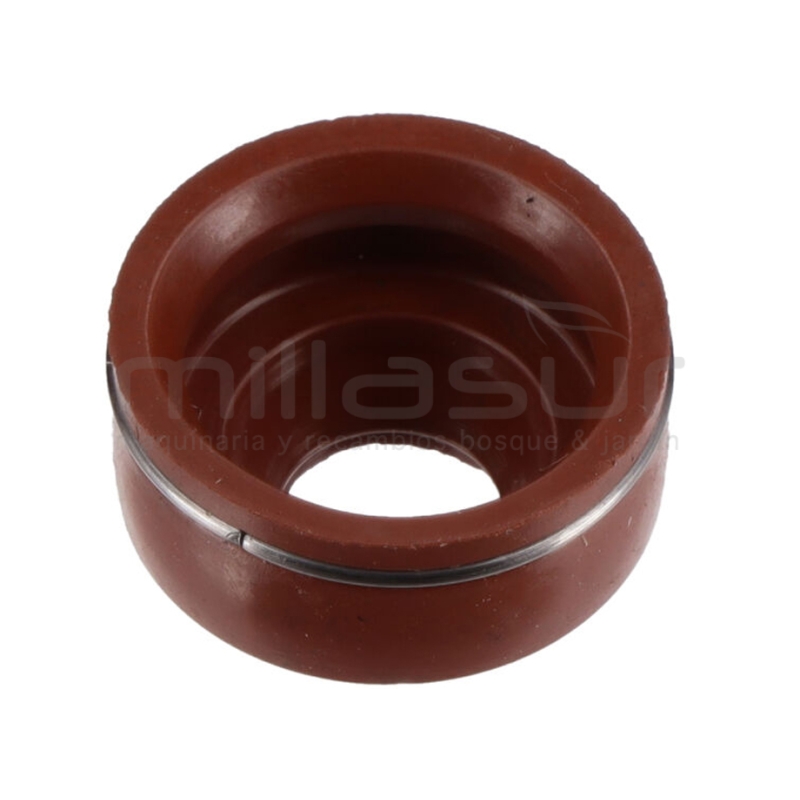 RETÉN VÁLVULA MA389 (F7) - motoscamaralweb.com