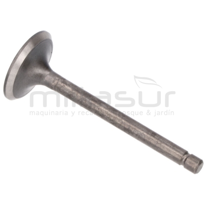 VALVULA DE ESCAPE MA390 (I4) - motoscamaralweb.com