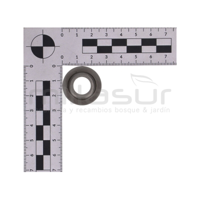 ASIENTO MUELLE VALVULA MA421 (I6) - motoscamaralweb.com