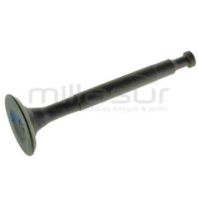 VALVULA ESCAPE - motoscamaralweb.com