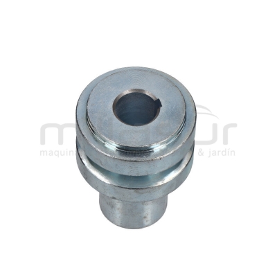 POLEA MOTOR - motoscamaralweb.com