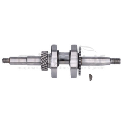 CIGÜEÑAL MA82 (32) - motoscamaralweb.com