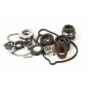 Kit reparación bomba de agua Hot Rods WPK0055 - motoscamaralweb.com