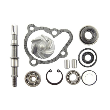 Set repara eje bomba de agua V PARTS - motoscamaralweb.com