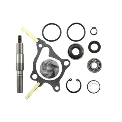 Set repara eje bomba de agua V PARTS - motoscamaralweb.com