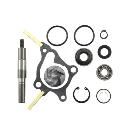 Set repara eje bomba de agua V PARTS - motoscamaralweb.com