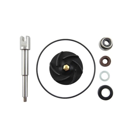 Set repara eje bomba de agua - motoscamaralweb.com