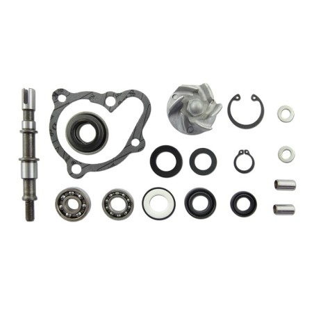 Set repara eje bomba de agua V PARTS - motoscamaralweb.com