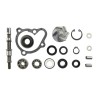 Set repara eje bomba de agua V PARTS - motoscamaralweb.com