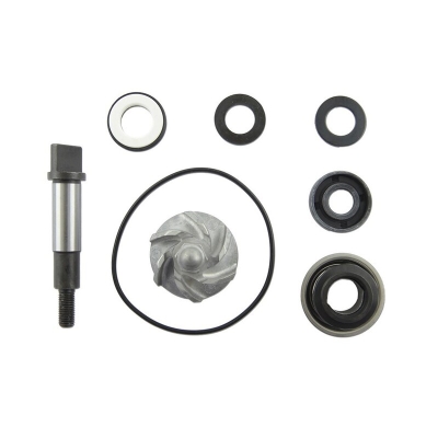 Set repara eje bomba de agua V PARTS - motoscamaralweb.com