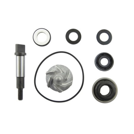 Set repara eje bomba de agua V PARTS - motoscamaralweb.com