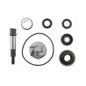 Set repara eje bomba de agua V PARTS - motoscamaralweb.com