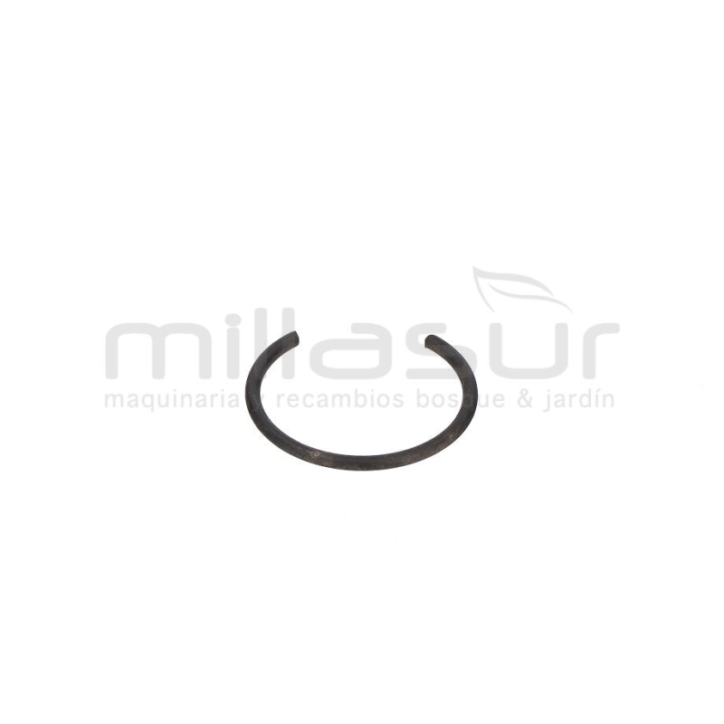 PRESILLA PISTON MC360 (17) - motoscamaralweb.com