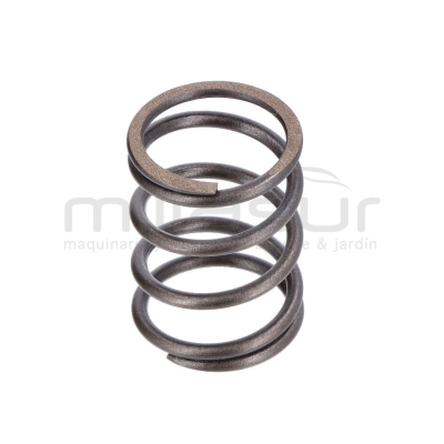 MUELLE VALVULA MC360 (41) - motoscamaralweb.com