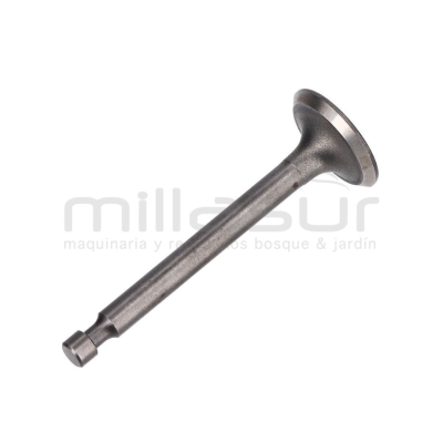 VALVULA ADMISION - motoscamaralweb.com