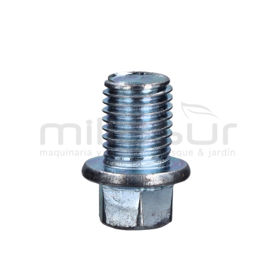 TORNILLO VACIADO - motoscamaralweb.com