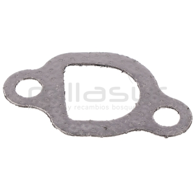 JUNTA ESCAPE MC509 (60) - motoscamaralweb.com