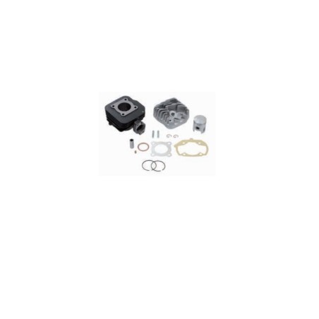 Kit cilindro completo hierro TOP PERFORMANCES PEUGEOT LUDIX - motoscamaralweb.com