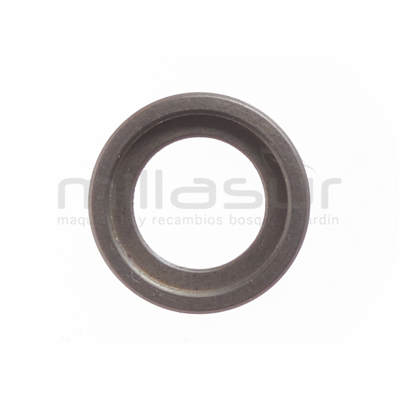 ARANDELA BULON MG2500 (31) - motoscamaralweb.com