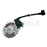 KIT BOBINA + VOLANTE MAGNETICO MG2600 - MG2500 - MG25-12A - motoscamaralweb.com