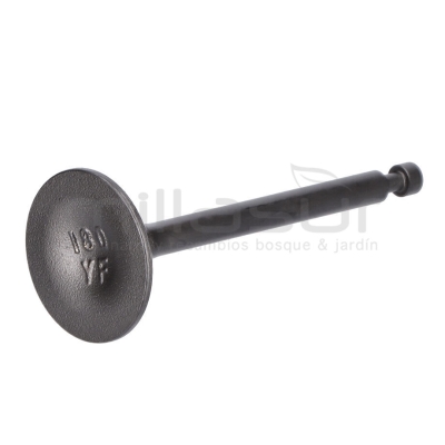 VÁLVULA DE ADMISIÓN GI2200 - motoscamaralweb.com