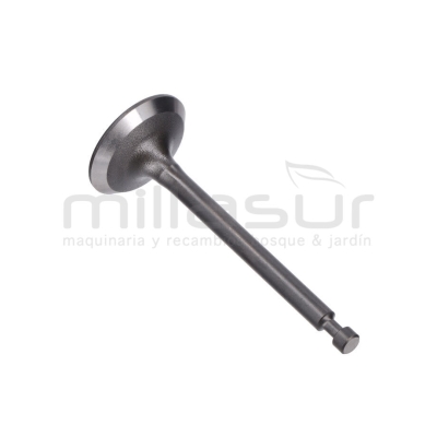 VÁLVULA DE ADMISIÓN GI2200 - motoscamaralweb.com