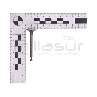 VÁLVULA DE ADMISIÓN GI2200 - motoscamaralweb.com