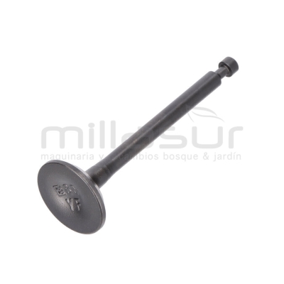 VÁLVULA DE ESCAPE GI2200 - motoscamaralweb.com
