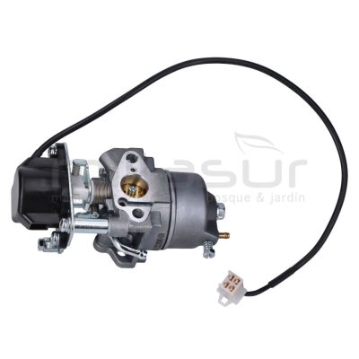 CARBURADOR GI2200 - motoscamaralweb.com