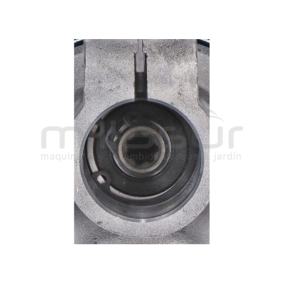 CODO COMPLETO (27) - motoscamaralweb.com