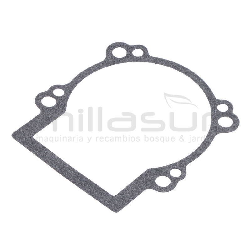 JUNTA CARTER D526 (37) - motoscamaralweb.com