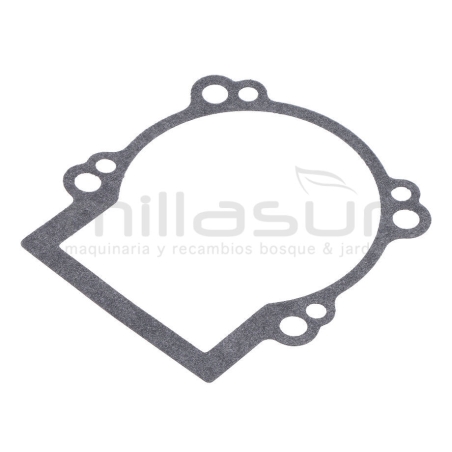 JUNTA CARTER D526 (37) - motoscamaralweb.com