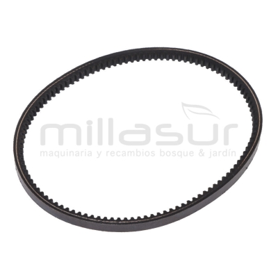 CORREA V13-620 ES240T (50) - motoscamaralweb.com