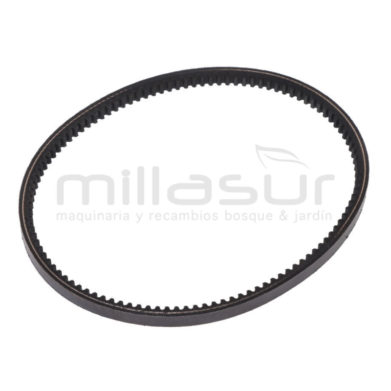 CORREA V13-620 ES240T (50) - motoscamaralweb.com