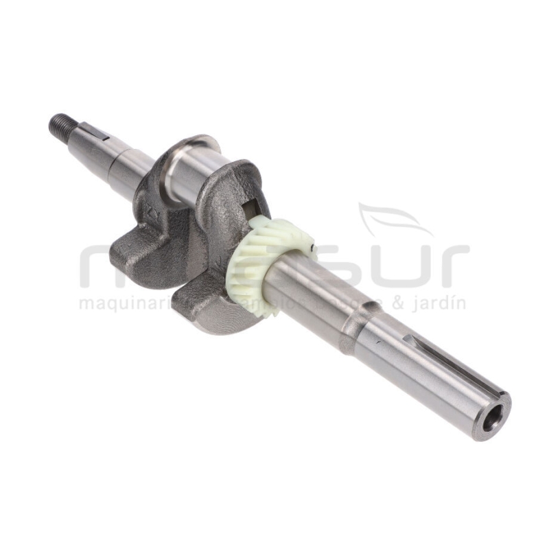 CIGÜEÑAL CC340PT (29) - motoscamaralweb.com