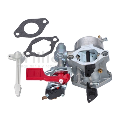 CARBURADOR ADAPTABLE A BRIGGS &amp; STRATTON 799060 595318 798523 - motoscamaralweb.com