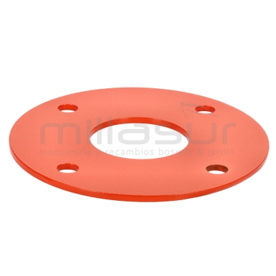 BRIDA MOTOR-TAMBOR BIO50S(13) - motoscamaralweb.com