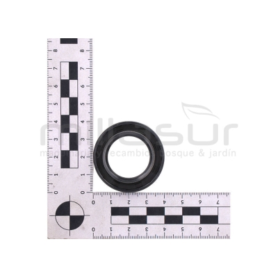 RETÉN CIGÜEÑAL INFERIOR SRV150-SRV180 -CC146T-CC151T (83) - motoscamaralweb.com