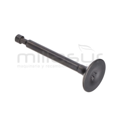 VALVULA ESCAPE CC340PT (67) - motoscamaralweb.com