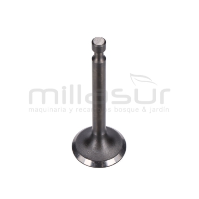 VALVULA ESCAPE CC340PT (67) - motoscamaralweb.com