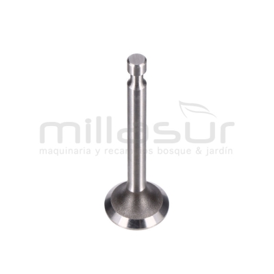 VALVULA ADMISION CC340PT (68) - motoscamaralweb.com
