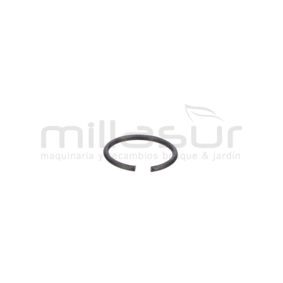 PRESILLA M10 (21) - motoscamaralweb.com