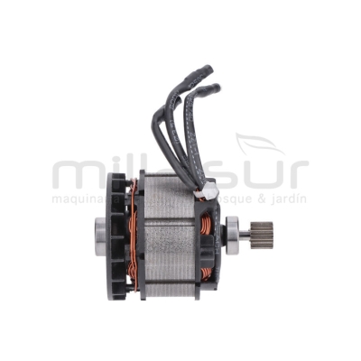 MOTOR (24) - motoscamaralweb.com