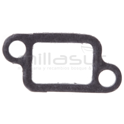 JUNTA ESCAPE MG3800 (4) - motoscamaralweb.com